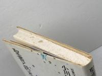 聖書と終末論 (作家の方法) 岩波書店 小川 国夫