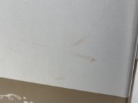 国家と宗教 　宗教から見る近現代日本　 上・下巻揃い　法藏館