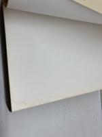 使徒の働き (リパブックス) いのちのことば社 榊原 康男