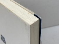 牧師夫人の闘病記: 信仰生活 聖文舎 大沢 まゆみ