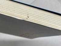 牧師夫人の闘病記: 信仰生活 聖文舎 大沢 まゆみ