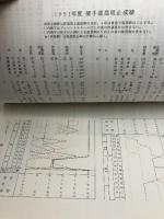 プロ野球資料　1991年度記録　セントラル野球連盟　23P