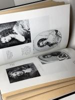 The Secret Life of Aphra Behn Rutgers Univ Pr JanetTodd