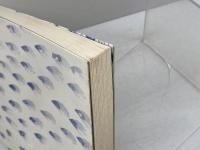 私の大阪 創元社 藤沢桓夫