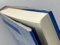 私の詩論大全 思潮社 岩成 達也