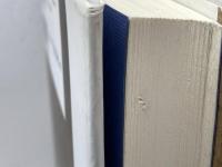 ロルカと二七年世代の詩人たち 土曜美術社出版販売 アルトゥロ ラモネダ