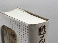 甦る詩学: 「古日本文学発生論」続・南島集成 まろうど社 藤井 貞和