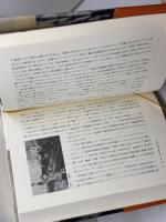 『新しき土』の真実: 戦前日本の映画輸出と狂乱の時代 平凡社 瀬川 裕司