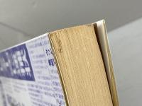 テレビ朝日やらせリンチ事件の真実　ピエロの城　中川勉　コアラブックス