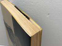 けものたちの黄金　東京テレビM資金事件 　 徳間書店 平田 敬