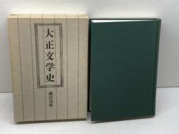 大正文学史 講談社 瀬沼 茂樹