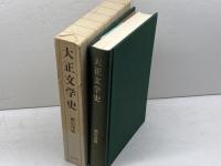 大正文学史 講談社 瀬沼 茂樹