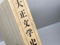 大正文学史 講談社 瀬沼 茂樹