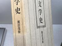 大正文学史 講談社 瀬沼 茂樹