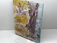 戦国時代の村の生活: 和泉国いりやまだ村の一年 (歴史を旅する絵本) 岩波書店 勝俣 鎮夫