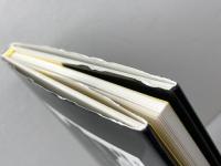 Mon Dico*愛の動詞―左子真由美詩集 竹林館 左子 真由美