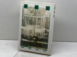 液晶区 思潮社 川口晴美