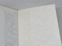 液晶区 思潮社 川口晴美