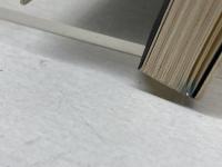 丘の陰に取り残された馬の群れ: 詩集 ふらんす堂 岸田 将幸