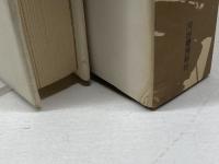 王國　吉増剛造　河出書房新社