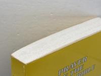 Prayer in the Hebrew Bible: The Drama of Divine-Human Dialogue (Overtures to Biblical Theology) Fortress Pr Samuel E.Balentine