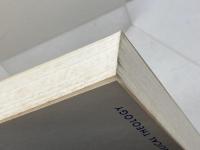 Prayer in the Hebrew Bible: The Drama of Divine-Human Dialogue (Overtures to Biblical Theology) Fortress Pr Samuel E.Balentine