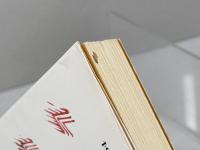 龍神が翔ぶ: 家運をよくする守護神・守護霊の持ちかた 平河出版社 桐山 靖雄