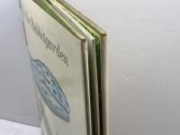 洋書　IN THE RABBITGARDEN  LeoLionni 　うさぎたちのにわ　レオ・レオニ