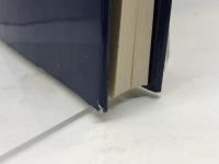 新約聖書〈1〉マルコによる福音書・マタイによる福音書 岩波書店 新訳聖書翻訳委員会