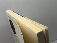 ディキンスン詩集 (海外詩文庫) 思潮社 エミリー ディキンスン