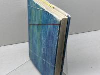 無心の挑戦　名人位奪回の軌跡　中原誠