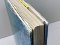 無心の挑戦　名人位奪回の軌跡　中原誠