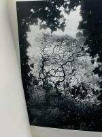 写真集　The Shadow of James Joyce: Chapelizod & Environs Lilliput Pr Ltd FujitaMokoto藤田需子直筆サイン