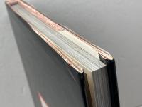 これが沖縄戦だ: 写真記録 琉球新報社