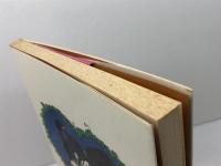 セックス: キリスト教の立場から コルベ出版社 カト リック フランス司教団社会問題委員