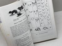 洋書　Field Guide to Animal Tracks (Peterson Field Guides) Houghton Mifflin Harcourt 　Olaus J.Murie