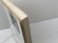 中原流最強左美濃 (一手決断・将棋戦法 7) 筑摩書房 中原 誠