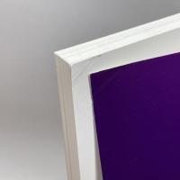 明石の古代　発掘された明石の歴史展実行委員会　