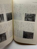 川辺町郷土史追録　川辺町(鹿児島県) 　平成９