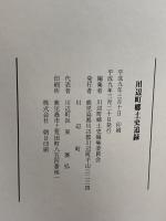 川辺町郷土史追録　川辺町(鹿児島県) 　平成９