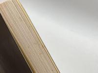 懐古・蝦夷征伐　私家版　南波松太郎