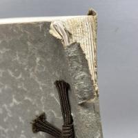 当市市田芙蓉館所蔵品入札目録　京都美術俱楽部　昭15