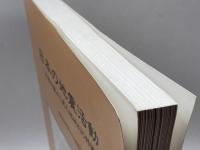 日本の地震活動 : 被害地震から見た地域別の特徴　追補版　平成１１　総理府地震調査研究推進本部地震調査委員会