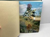 附子の研究　第二篇　出版科学総合研究所編　三和生薬株式会社