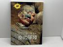 死して更に生きた秦の軍陣　西安旅游出版社