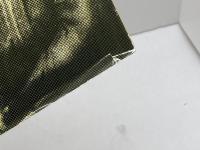 戦闘団の人びと : マリア・スピリドーノヴァ回想録　マリア・スピリドーノヴァ　鹿砦社