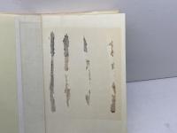 ユダヤ人 　その信仰と生活　アラン・ウンターマン　筑摩書房