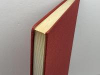 図式漢方処方の八綱分類　顔焜エイ　薬局新聞社　