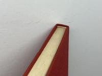 図式漢方処方の八綱分類　顔焜エイ　薬局新聞社　