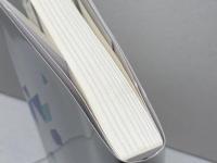 本当は教えたくない　SNSアフィリエイトの攻略法　やまもとりゅうじ